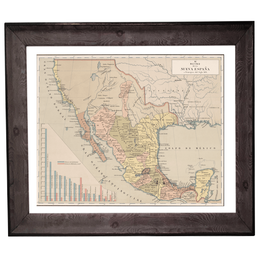 Nueva España 1805